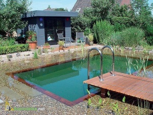 Красивый дачный пруд - бассейн